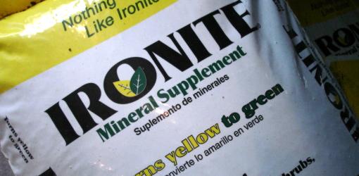How to Green Up Your Lawn with Iron Supplement | Today's Homeowner