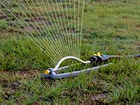Sprinkler watering lawn.