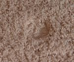 Indentation in carpet caused by furniture leg.