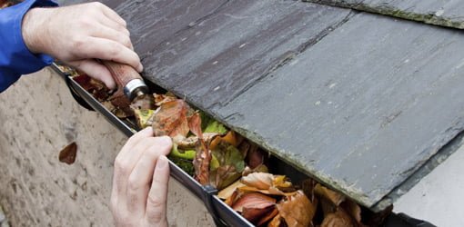 Cleaning out leaves in gutters.