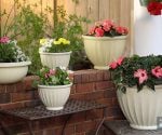 Tips for Executing Patio Packs