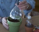 Make this Mini Greenhouse to Jump-Start Planting Season