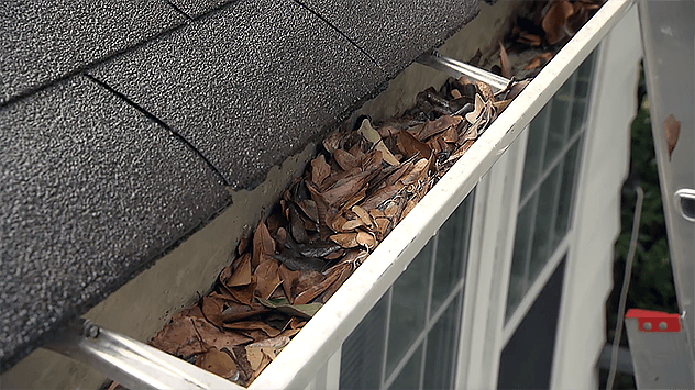 Gutters with leaves