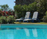 5 Pool Landscaping Ideas on A Budget